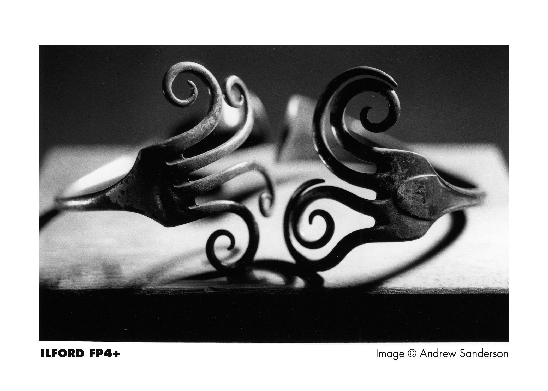 fp4plus_image