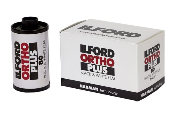 ortho 135__1