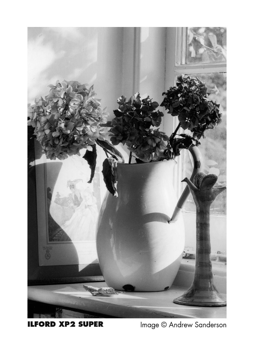 xp2s_image_1
